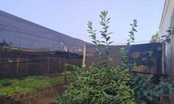 Imagem: Venda de Terreno / Padrão na cidade de