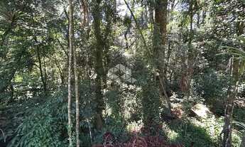 Imagem 6: Terreno a Venda em Canela