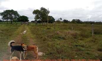 Imagem 7: Fazendinha de 50 hectares próximo da cidade de Cuiabá MT