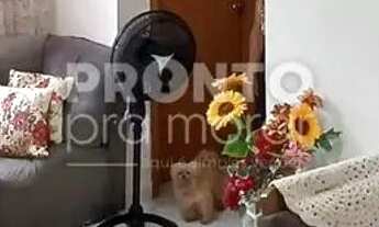 Imagem 6: Apartamento charmoso 2 quartos na Zona Sul