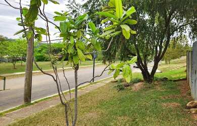 Imagem 2: Lote Condomínio Aldeia do Vale 1.622m²