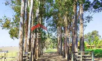 Imagem 3: Sítio em Rua Saldanha Marinho - Centro - Itapetininga/SP