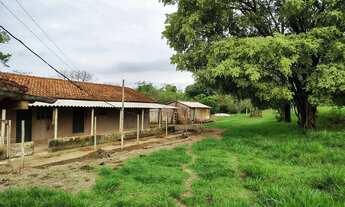 Imagem: Sítio bom para abacate, café, milho,gado