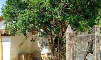 Imagem 3: Casas em área rural