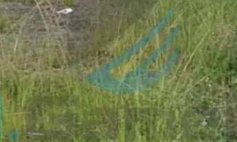 Imagem 2: Aluga-se área aproximadamente 1.500 m² dentro de um Posto em Realengo