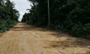 Imagem 3: Chácara 20×50 1000m