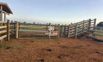Imagem 3: EXCELENTE FAZENDA DE PECUÁROA NO NORTE DE MINAS PROXIMO A MONTES CLAROS