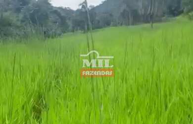 Imagem 2: Chácara 14 alqueires (67,76 HAC) Varjão - Go