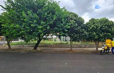 Imagem 3: Terreno à venda, 300 m² por R$ 220.000,00 - Jardim Eliana - Araraquara/SP