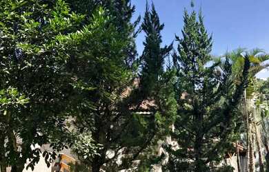 Imagem 2: Chácara à venda com 2.800m² e 8 quartos em Barrinha São Lourenço da Serra - SP