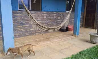 Imagem 2: Chácara no interior de campo largo ,1 alqueire