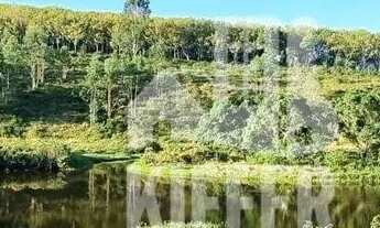 Imagem 6: Fazenda com 3 dormitórios à venda, 1210000 m² por R$ 6.000.000,00 - Reginópolis - Silva Ja