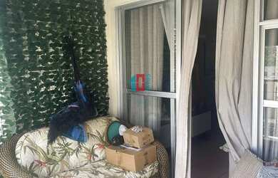 Imagem 4: Pechincha Apartamento com 2 dormitórios