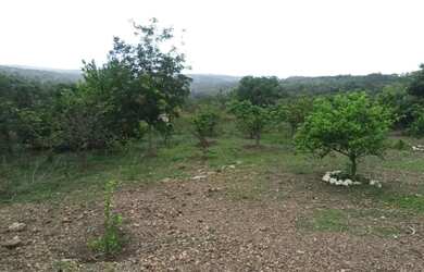 Imagem 4: Chácara 20.000 m2 Condomínio Com Cachoeira Corumbá de Goiás
