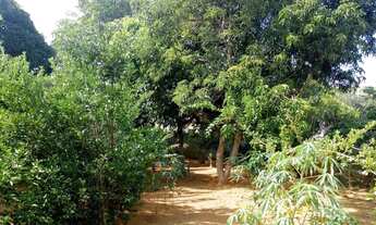 Imagem 4: Vendo Chácara em Chapada Grande