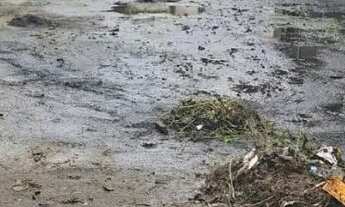 Imagem: ALUGA-SE GALPÃO NA PRAÇA DE RICARDO