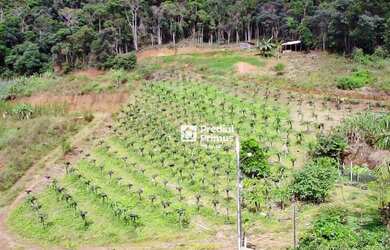 Imagem: Chácara à venda, 20000 m² por R$ 1.100.000,00