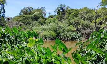 Imagem: Terreno 12 hectares em Nova União