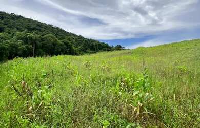 Imagem 4: Terrenos em Ibiúna Ideais para Airbnb e Locação