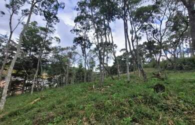 Imagem 2: Lote em Rua Felício Raimundo - Jaguaribe/Abernéssia - Abernessia - Campos do Jordão/SP