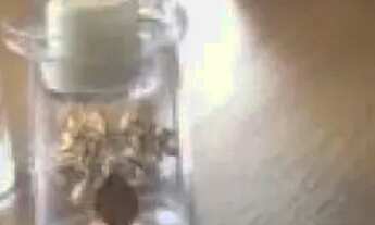 Imagem 4: APARTAMENTO - MOEMA ÍNDIOS - SP