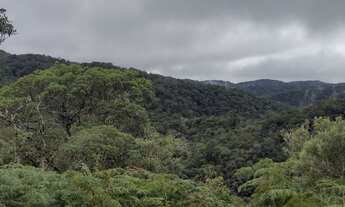 Imagem 3: Chácaras 4,7 alqueires. Escritura e Registro. Auto suficiência. Saia da cidade