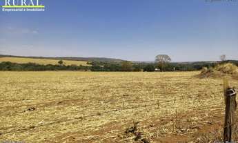 Imagem 7: Fazenda de soja a 70 km de Goinia-Go