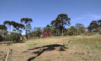 Imagem 3: Terreno à venda, 690 m² por R$ 170.000,00 - Bateias - Campo Largo/PR
