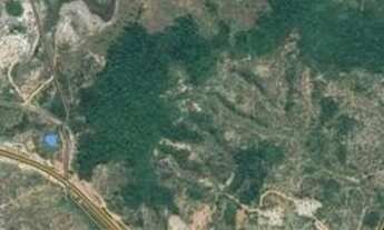 Imagem: Área Frente Pista 600.000 m² na Cetrel