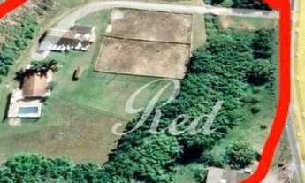 Imagem 4: Área na Rod. Índio Tibiriça - Bairro do Raffo - Suzano