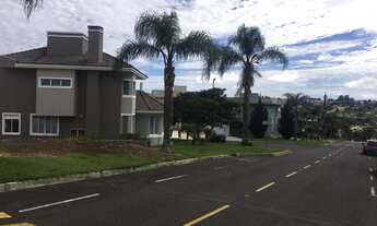 Imagem 4: Terreno Parque dos Franceses