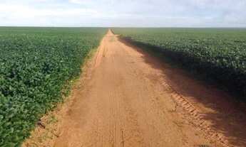 Imagem 4: Venda Fazenda - 1.140 hectares - Lucas do Rio Verde - MT