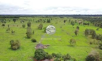 Imagem 3: Theobroma - Sítio - 10 Alqueires top