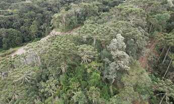 Imagem 3: Área Rural com 4,40ha de área total, para venda. São Franscisco, Urubici