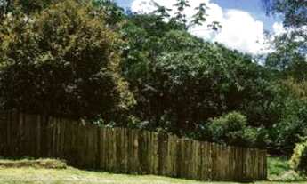 Imagem 5: LINDA CHÁCARA Fazenda / sítio com venda por R$1.000.000