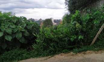 Imagem: CAXIAS DO SUL - Terreno Padrão - CINQUENTENÁRIO