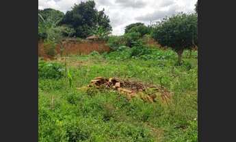 Imagem 4: Trindade - Terreno Padrão - Setor Mariápolis