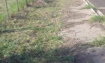 Imagem 6: Terreno para Venda em São Pedro, Alpes das Águas