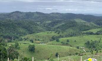 Imagem 3: Fazenda à Venda em Ubaitaba - Pecuária e Cacau no Sul da Bahia