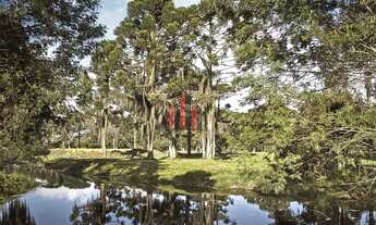 Imagem 7: Fazenda/Sítio/Chácara para venda com 1050 metros quadrados em Rio - Rancho Queimado - SC
