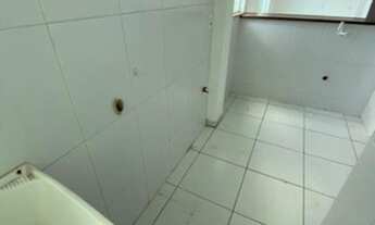 Imagem 4: Casa em goiaberas