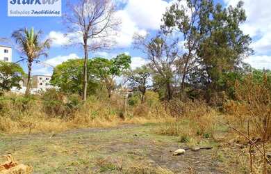 Imagem 10: Terreno, 2606 m² - venda por R$ 980.000,00 ou aluguel por R$ 6.000,00/mês - Granja Santa I