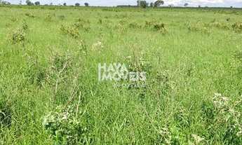 Imagem 2: Fazenda à venda, Rural, Ribas do Rio Pardo, MS