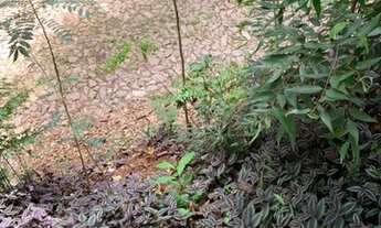 Imagem: Nova Lima - Loteamento/Condomínio - Pasárgada