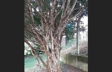 Imagem 5: Terreno Condomínio em Alphaville - Mairinque