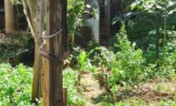 Imagem: Vendo Terreno no Jardim Arco Íris em Salto/SP