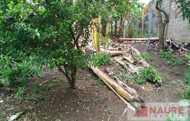 Imagem 3: TERRENO 10 X 30 - JARDIM UNIVERSO