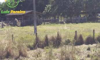 Imagem 4: FAZENDA À VENDA EM PEIXE - TO - 2.226,4 HECTARES (DUPLA APTIDÃO