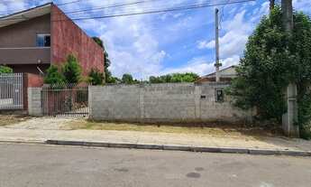 Imagem: Terreno em Quatros Barras com 550 metros