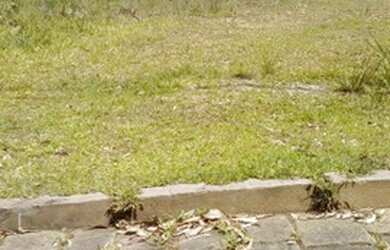 Imagem 3: CAXIAS DO SUL - Terreno Padrão - Villa Horn